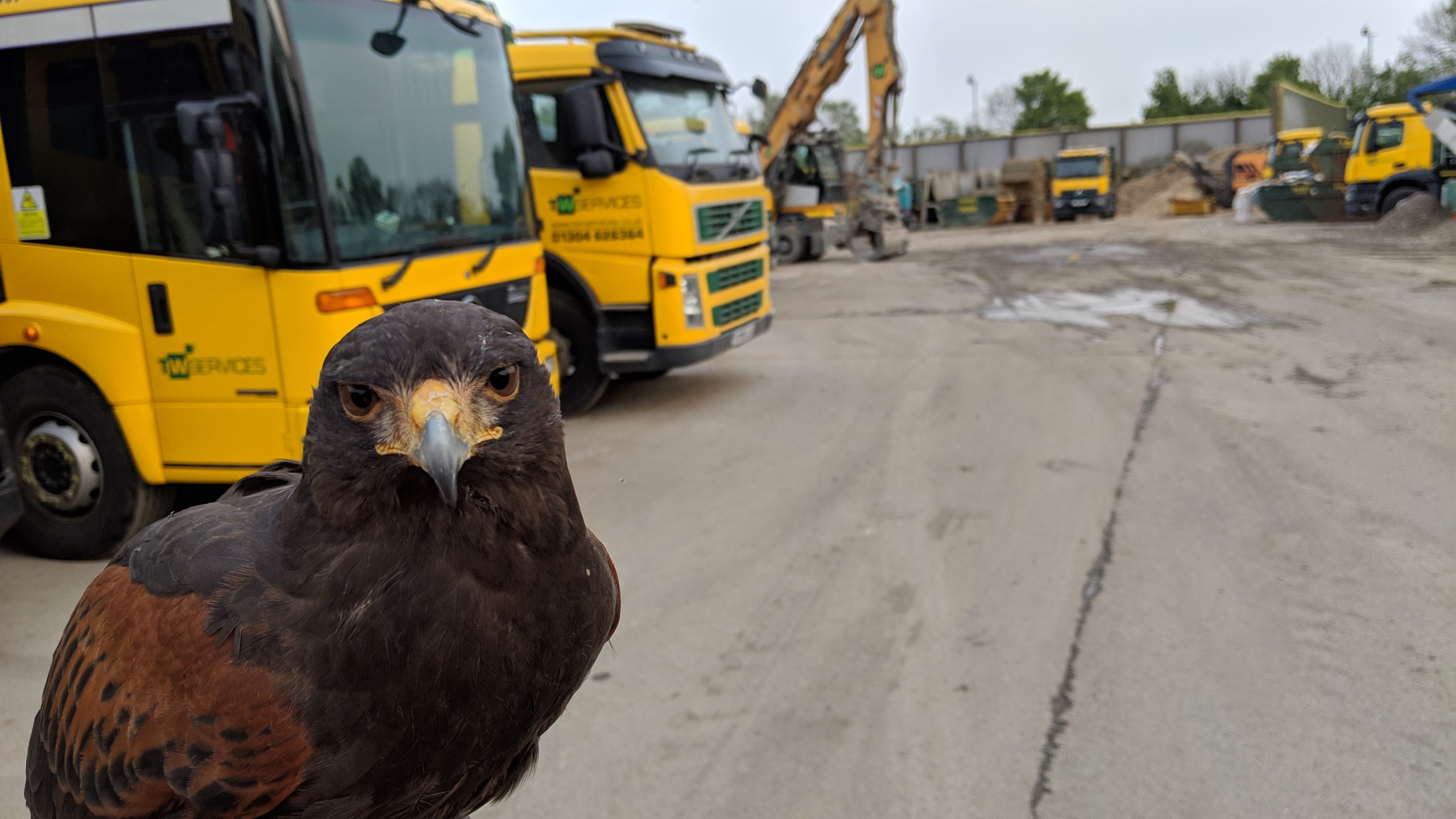Waste Management