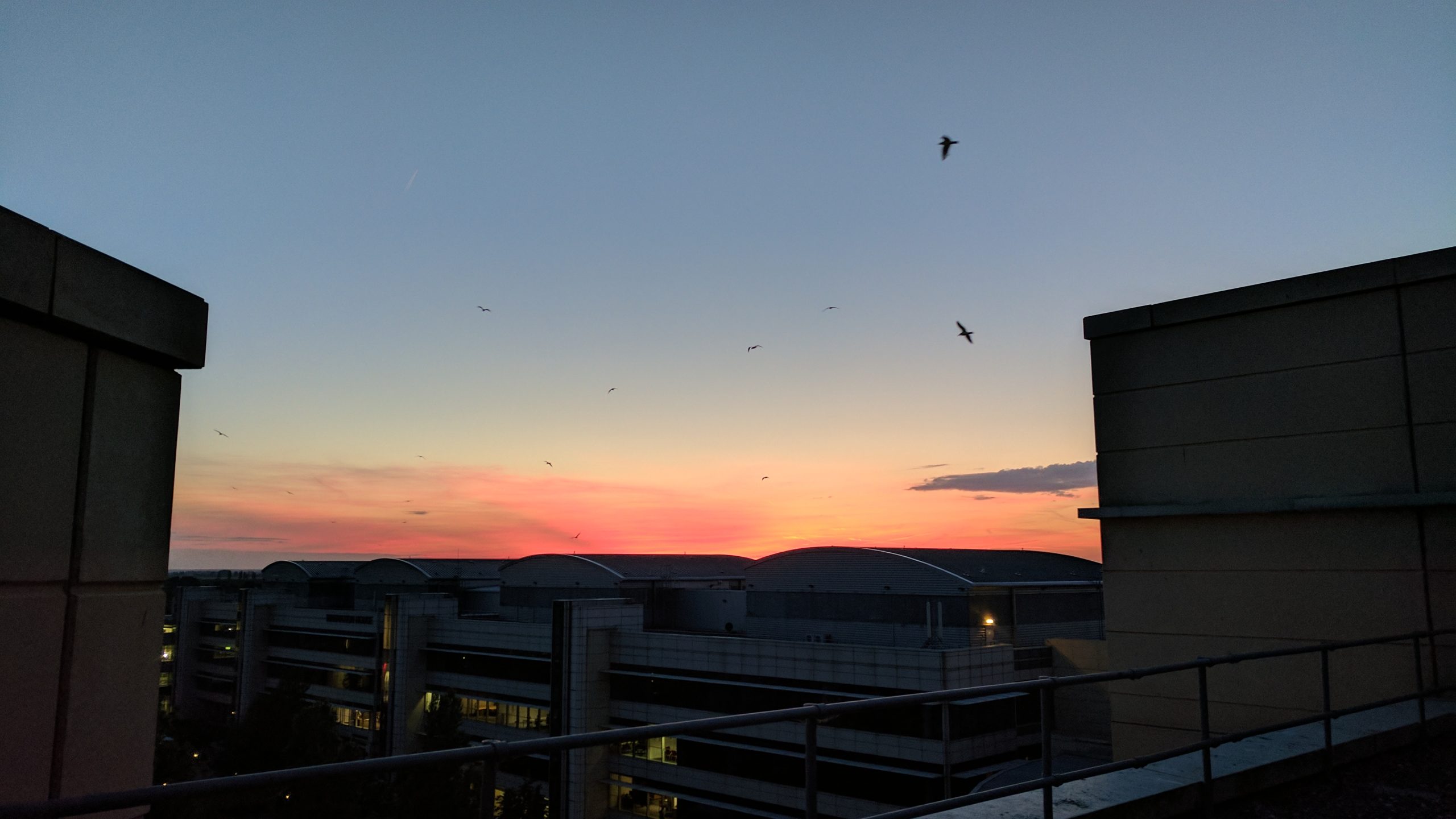 Industrial Sunset